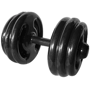 Dumbbell Emborrachado 30kg