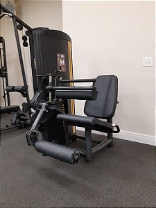 Cadeira Flexora Uranos 80kg