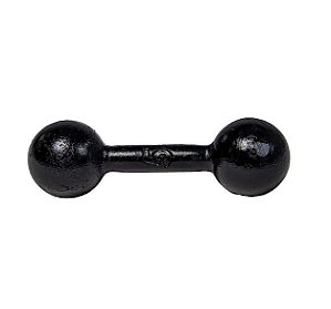 Halter Bola Pintado 8kg