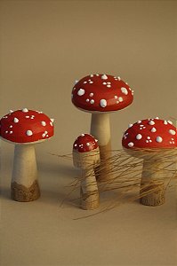 4 Cogumelos de Madeira Coloridos