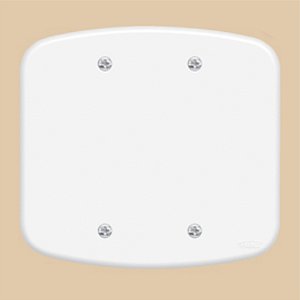 Placa 4 X 4 F00 Blanc Fame