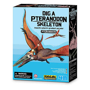 Kit de Escavação de Esqueleto - Pteranodonte