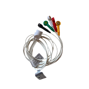 ECG - CH091I5S