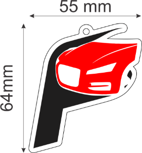 CARRO 10- P - PRAXEDES - 55X64