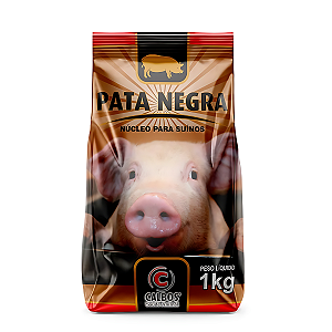 PATA NEGRA 1 KG