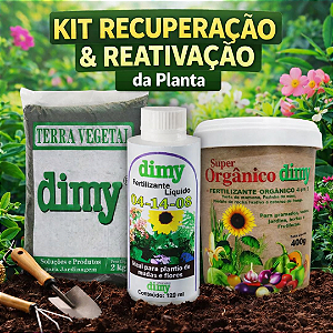 Kit Recuperação & Reativação Da Planta