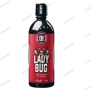 Lady Bug Restaurador de Vidros 500ml - Dub Boyz