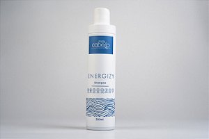 Shampoo Antiqueda Energizy 250ml