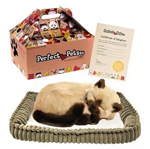 Gato De Pelúcia Tan Siamês Perfect Petzzz