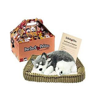 Cachorro De Pelúcia Husky Perfect Petzzz