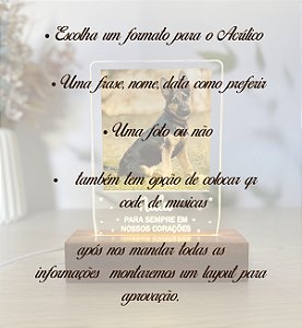 Monte Sua Luminária Pets
