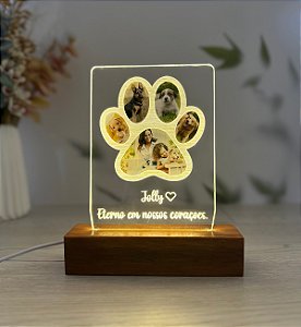 Luminária memorial de animais de estimação -Personalize