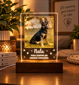 Luminária foto personalizada para Pets -Personalize