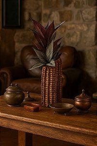 Vaso de Cerâmica - Cacto