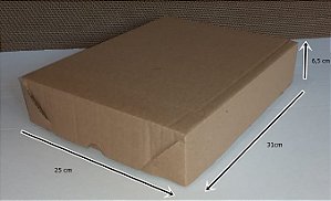 ESFIHA/SALTENHA	- 310X250X65	- PARDO - FARDO 10 UNID