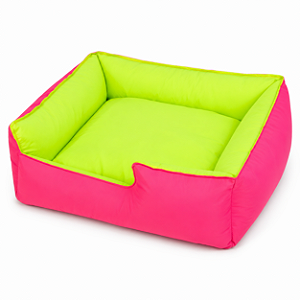 Caminha Neon Divertida