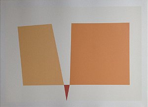Cassia Aresta -  48 x 66 cm