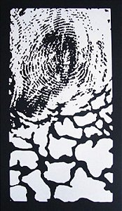Elaine Gomes - 96 x 66 cm