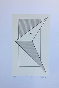 Falves Silva - 48 x 33 cm