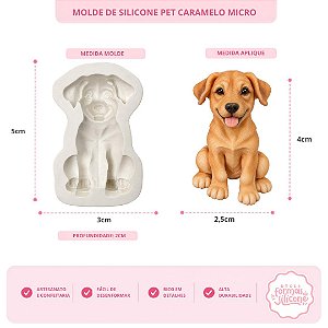 Molde de Silicone Pet Caramelo Micro