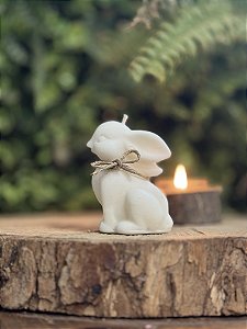 Especial de Páscoa Coelho