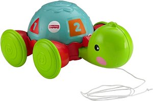 Fisher Price - Empurra Tartaruga - Y8652- Mattel