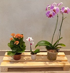 Suporte Jardineira de Madeira para Vaso 70 x 26cm