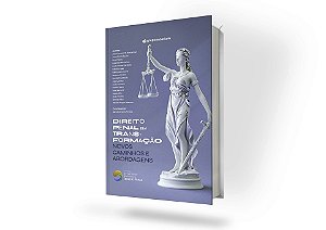 Direito Penal Em Transformação - Novos Caminhos E Abordagens