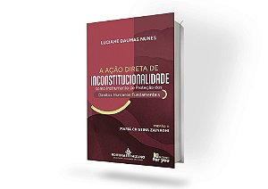 A Ação Direta de Inconstitucionalidade como Instrumento de Proteção dos Direitos Humanos Fundamentais