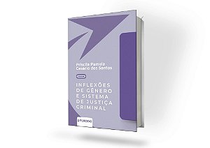 Inflexões de gênero e sistema de justiça criminal