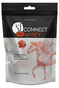 CONNECT PRO WHEY