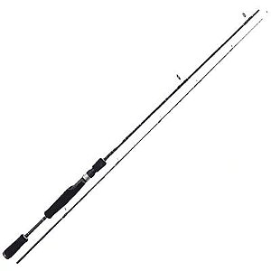 Vara Intense Lumis - 30-60Lbs 2.4m 2 Partes (Molin.)