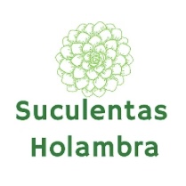 Pedido 150 Unidades Suculentas Fora Do Vaso + 4 Substratos