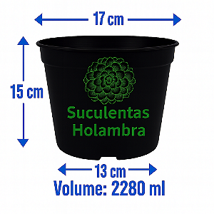 Kit 50 Vasos Pote 17 - Cor Preta