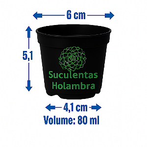 Kit 2000 Vasos Pote 6 - REFORÇADO Cor Preta 80 ML Suculentas Cactos Suculentas Cactos