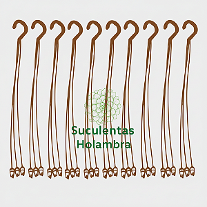 Kit 50 Hastes Alça 43 cm Cor Terracota Marrom Pendurador de Plantas e Vasos