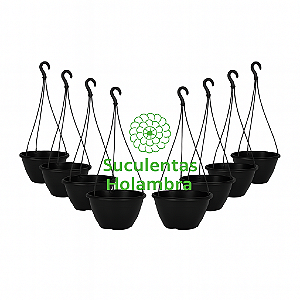 Kit 25 Vasos Cuia 21 Com haste 43 cm - REFORÇADO Cor Preta - Ideal p/ Rosa do Deserto, Samambaia, Suculentas e Cactos