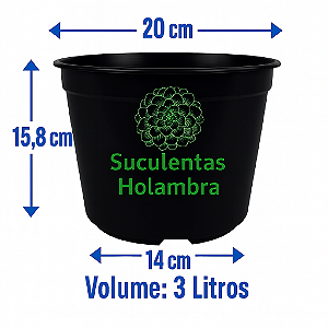 Kit 10 Vasos 3 Litros Pote 20 - REFORÇADO Cor Preta Para Plantas, Mudas e Suculentas