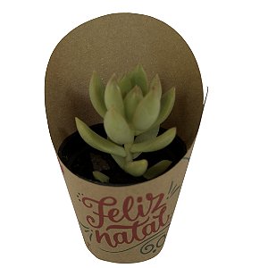 Rótulo Para Suculentas E Cactos Pote 6 Modelo Feliz Natal