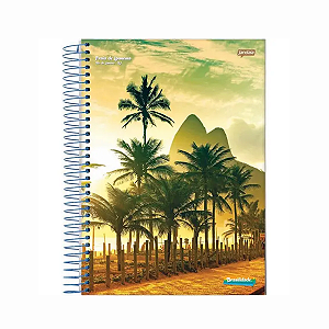 Caderno Espiral Capa dura 1/4 Brasilidade 200fls Jandaia