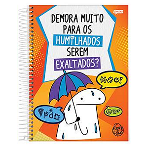 Caderno Espiral Capa dura 15Mat/240fls Flork Jandaia