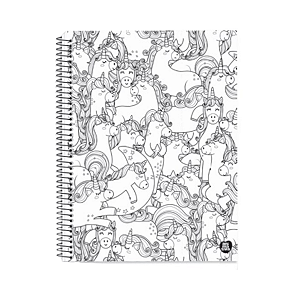Caderno Espiral Capa dura 10Mat/160fls Color Quest Animativa