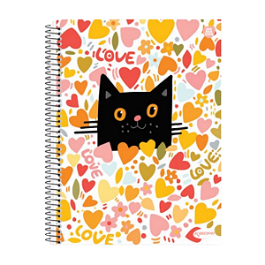Caderno Espiral Cd Uni Kbom Feminino 01Mat/96fls Animativa