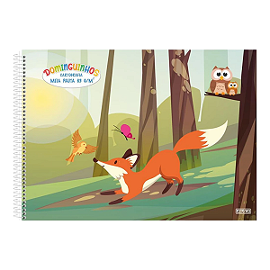 Caderno Cartografia Espiral Cd Meia Pauta Dominguinhos 40fls Animativa