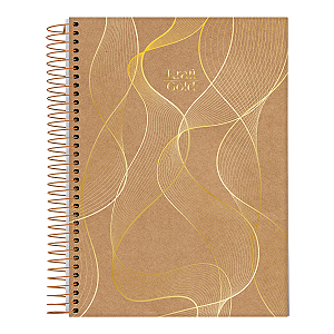 Caderno Espiral Capa dura 1/4 10 Matérias Kraft Gold Jandaia