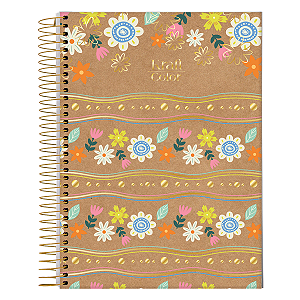 Caderno Espiral Cd Colegial Kraft Color 160 Folhas Jandaia