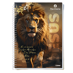 Caderno Espiral Cd Universitário 10mat/160fls Pão Diário Credeal