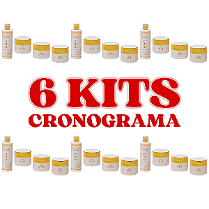 6 Kits Cronograma Capilar - Linha Home Care - Cuidado para todos os tipos de cabelos
