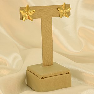 Brinco Estrela Banhado a Ouro 18k