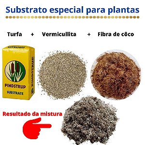 Substrato especial para plantas a base de Turfa - 1k